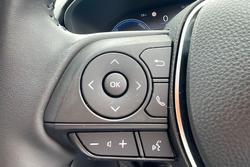 2024 Toyota RAV4 Cruiser