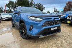 2024 Toyota RAV4 Cruiser