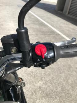 2026 Royal Enfield Bear 650