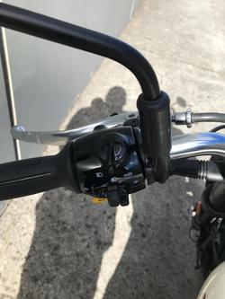 2026 Royal Enfield Bear 650