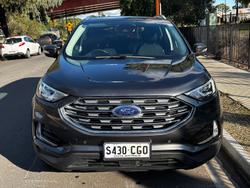 2019 Ford Endura Trend