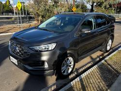 2019 Ford Endura Trend