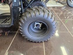 2024 Yamaha GRIZZLY 110 RED