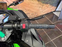 2016 Kawasaki NINJA 300 GREEN