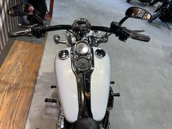2008 HARLEY-DAVIDSON FXDL DYNA LOW RIDER