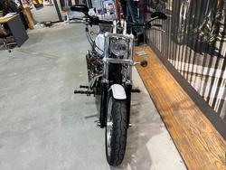 2008 HARLEY-DAVIDSON FXDL DYNA LOW RIDER