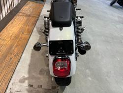 2008 HARLEY-DAVIDSON FXDL DYNA LOW RIDER