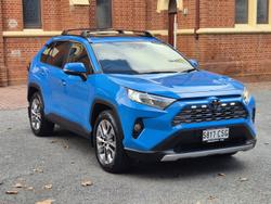 2020 Toyota RAV4 Cruiser