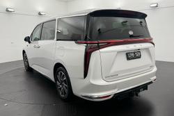 2023 LDV MIFA Executive