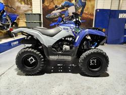 Yamaha Grizzly 110 (YFM110G)