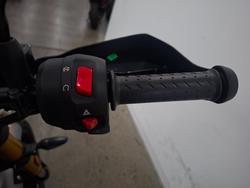 2024 Triumph SCRAMBLER 400 X BLACK META
