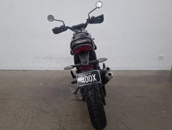 2024 Triumph SCRAMBLER 400 X BLACK META