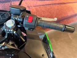 2025 Kawasaki Ninja 500 (EX500G) Ninja Black