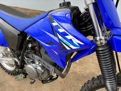 2025 Yamaha TT-R230 Blue