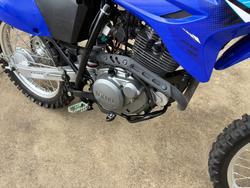 2025 Yamaha TT-R230 Blue