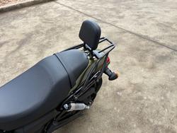2018 HARLEY-DAVIDSON XG500 STREET 500 Green