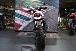 2024 Ducati DESERTX RALLY White