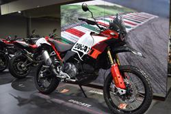 2024 Ducati DESERTX RALLY White