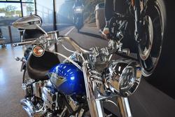 2009 HARLEY-DAVIDSON FLSTF FAT BOY