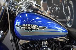 2009 HARLEY-DAVIDSON FLSTF FAT BOY