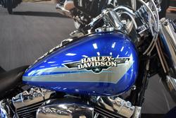 2009 HARLEY-DAVIDSON FLSTF FAT BOY