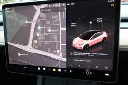 2022 Tesla Model 3 Rear-Wheel Drive