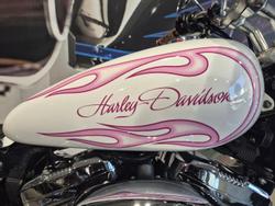 2006 Harley-Davidson 1200 Custom (XL1200C) Sportster White