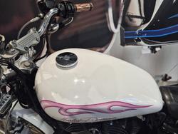 2006 Harley-Davidson 1200 Custom (XL1200C) Sportster White