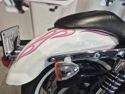 2006 Harley-Davidson 1200 Custom (XL1200C) Sportster White