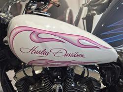 2006 Harley-Davidson 1200 Custom (XL1200C) Sportster White