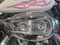 2006 Harley-Davidson 1200 Custom (XL1200C) Sportster White