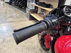 2020 Harley-Davidson Street 500 (XG500) Street Orange