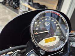 2020 Harley-Davidson Street 500 (XG500) Street Orange