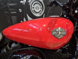 2020 Harley-Davidson Street 500 (XG500) Street Orange