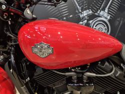 2020 Harley-Davidson Street 500 (XG500) Street Orange