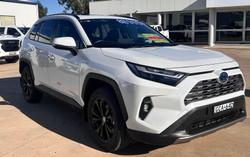2024 Toyota RAV4 Cruiser
