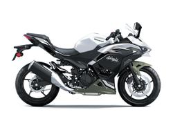 Kawasaki Ninja 500 SE
