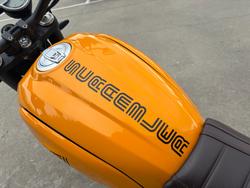 2022 DUCATI SCRAMBLER 1100 Yellow