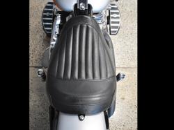 2020 HARLEY-DAVIDSON FLSL SOFTAIL SLIM (107)