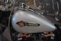 2020 HARLEY-DAVIDSON FLSL SOFTAIL SLIM (107)