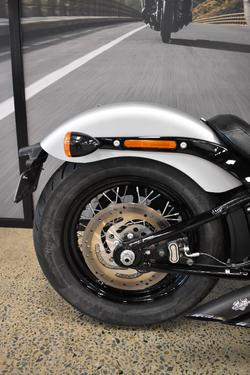 2020 HARLEY-DAVIDSON FLSL SOFTAIL SLIM (107)