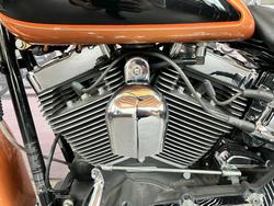 2008 HARLEY-DAVIDSON FLSTN SOFTAIL DELUXE