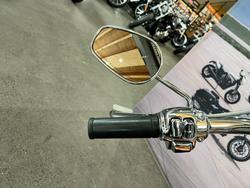 2008 HARLEY-DAVIDSON FLSTN SOFTAIL DELUXE