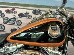 2008 HARLEY-DAVIDSON FLSTN SOFTAIL DELUXE