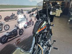 2019 HARLEY-DAVIDSON XL1200XS FORTY-EIGHT SPECIAL