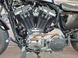 2019 HARLEY-DAVIDSON XL1200XS FORTY-EIGHT SPECIAL