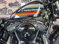 2019 HARLEY-DAVIDSON XL1200XS FORTY-EIGHT SPECIAL
