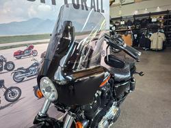 2019 HARLEY-DAVIDSON XL1200XS FORTY-EIGHT SPECIAL