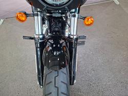 2019 HARLEY-DAVIDSON XL1200XS FORTY-EIGHT SPECIAL