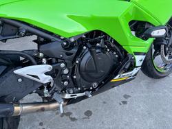 2025 Kawasaki NINJA 500 SE (LAMS) Green